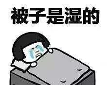 打开天气，便打开了日子