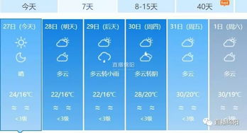 西安天气预报15天查询结果，古城晴雨早知道，出行计划更从容