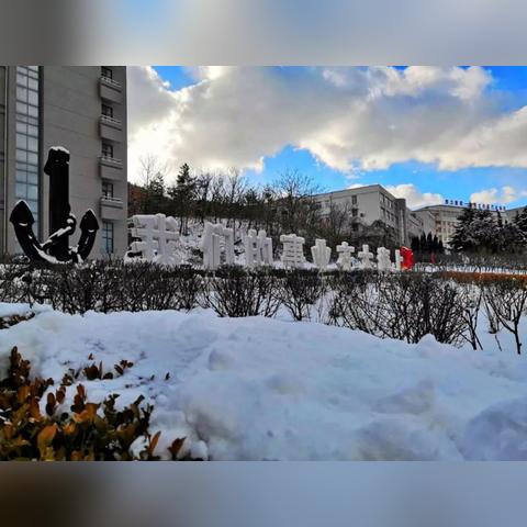 大连24小时天气预报，海风中的城市脉动