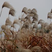 告别晴雨两猜，哪款才是真正靠谱的最准天气预报App？