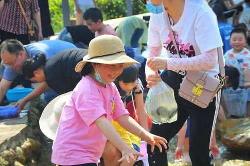云南十一月份气温查询，一份详尽的秋冬旅行穿衣指南