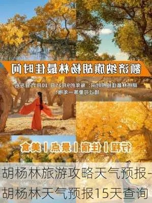 胡杨林天气预报15天，穿越千年的风与沙✅彩运网
