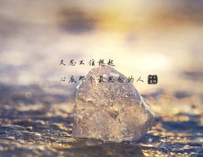 一场活着的预报