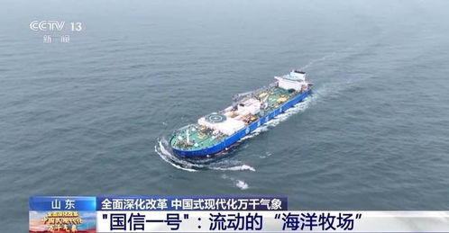 渔获海上风浪准确24小时查询，智慧渔业时代的航行密码