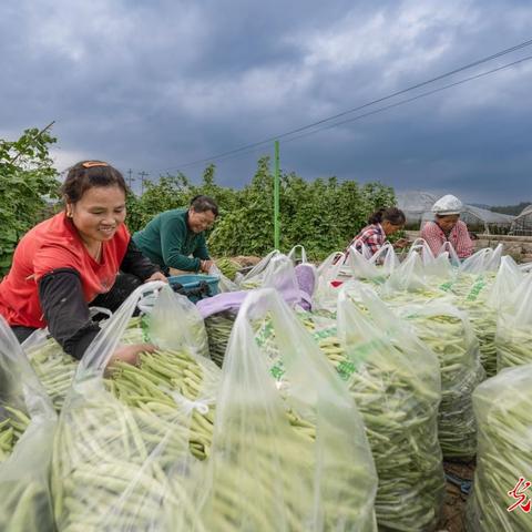 湖南新化天气预报，精准掌握天气变化，出行生活更从容