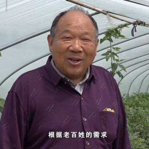 永城天气，四季流转中的小城故事