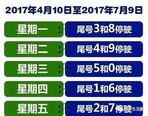 固安，一座北方小城的四季呼吸