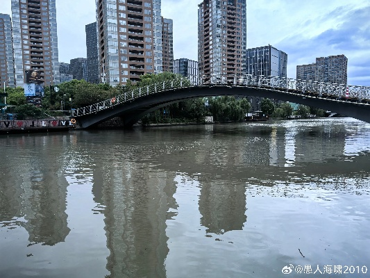 浦东晴雨录，一座新城的呼吸与温度