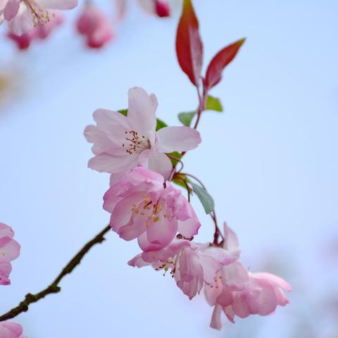温州天气预报一周天气，晴雨交替，气温稳中有升