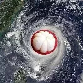 中国跑得最远的台风，万里奔袭的流浪者