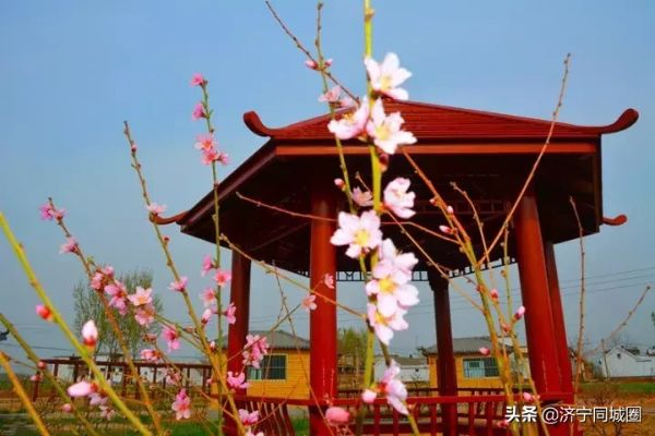 孟州，在中原小城的四季更迭里，过朴素而踏实的生活