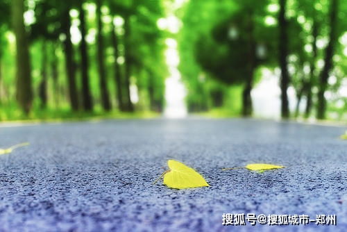 浙江下周天气大反转，从初夏秒回深秋，冷空气携风雨来袭