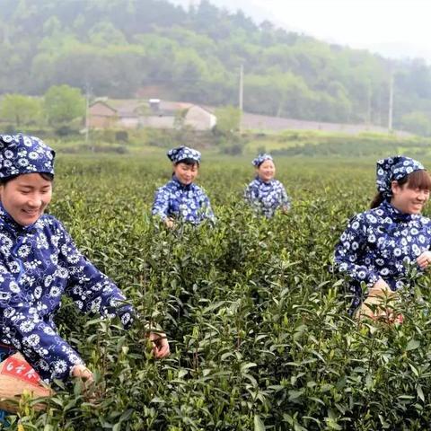 天气预报里的乡愁，庐江的阴晴冷暖，都是家的温度