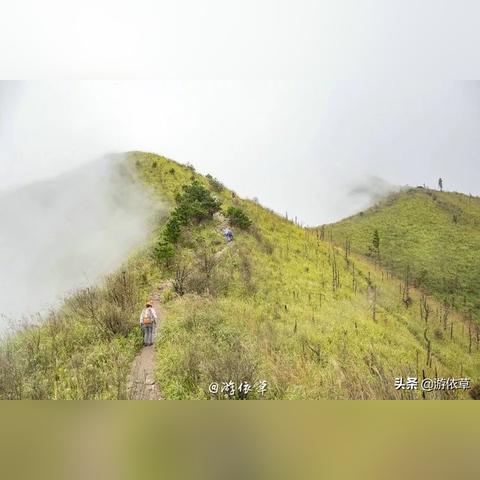 江西未来一周天气展望,晴雨交替,气温波动需留意 江西未来一周天气展望,晴雨交替,气温波动需留意
