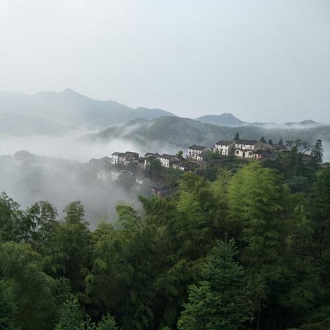 黄山风景区天气，瞬息万变的云端仙境