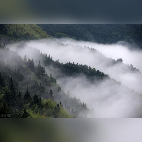 黄山云雾，四季流转间的诗意画卷