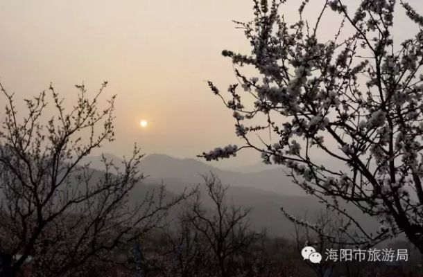 城阳天气，山海之间的四季诗行