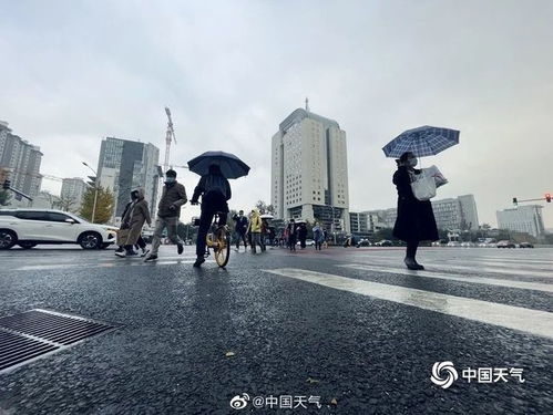山东下周天气预报,冷空气频繁来袭,气温起伏如过山车 山东下周天气预报,冷空气频繁来袭,气温起伏如过山车